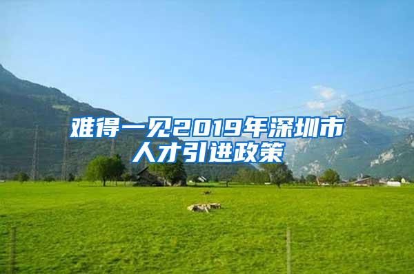 难得一见2019年深圳市人才引进政策