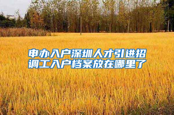 申办入户深圳人才引进招调工入户档案放在哪里了