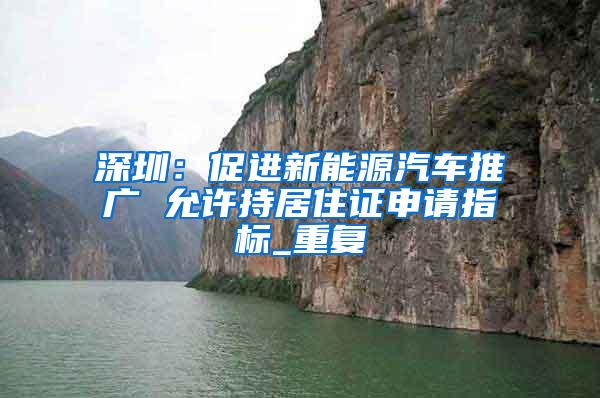 深圳：促进新能源汽车推广 允许持居住证申请指标_重复