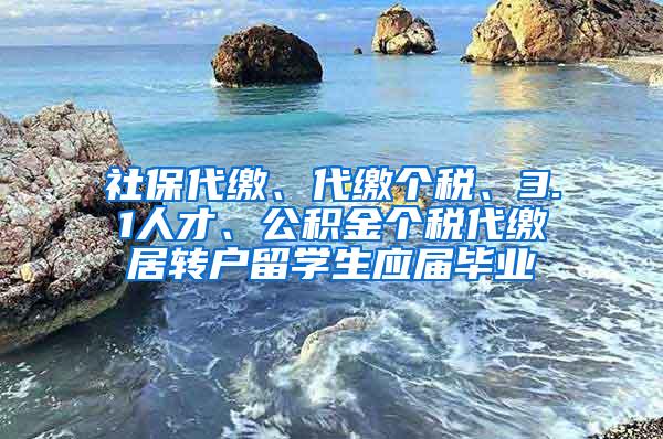 社保代缴、代缴个税、3.1人才、公积金个税代缴居转户留学生应届毕业