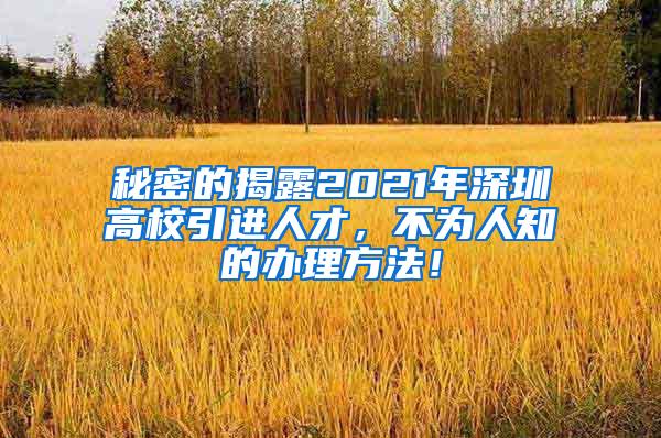 秘密的揭露2021年深圳高校引进人才，不为人知的办理方法！