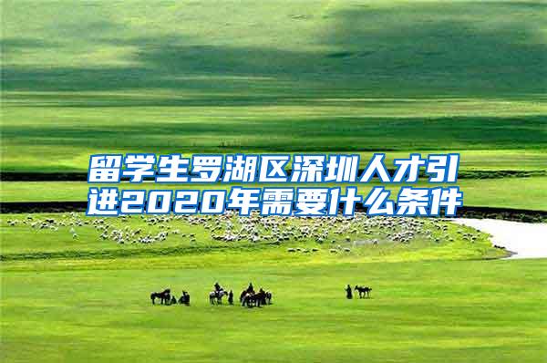 留学生罗湖区深圳人才引进2020年需要什么条件