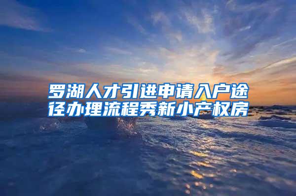 罗湖人才引进申请入户途径办理流程秀新小产权房