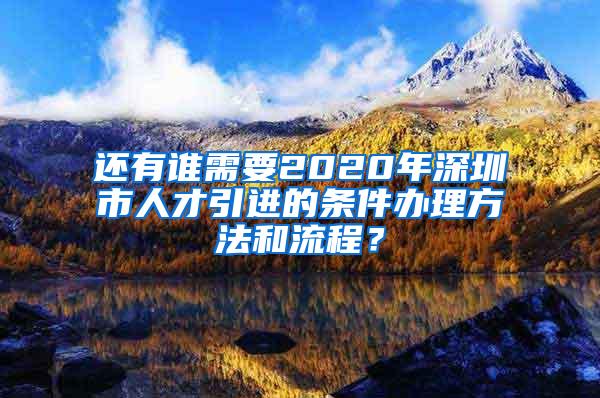 还有谁需要2020年深圳市人才引进的条件办理方法和流程？