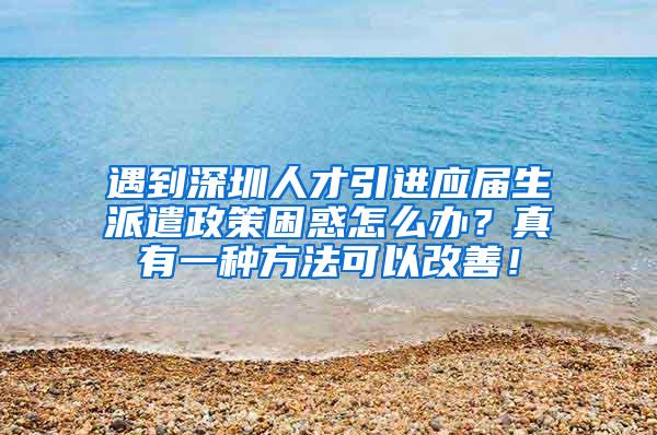 遇到深圳人才引进应届生派遣政策困惑怎么办？真有一种方法可以改善！