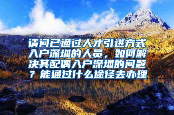 请问已通过人才引进方式入户深圳的人员，如何解决其配偶入户深圳的问题？能通过什么途径去办理