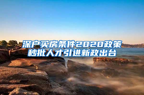 深户买房条件2020政策秒批人才引进新政出台