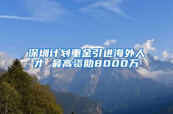 深圳计划重金引进海外人才 最高资助8000万