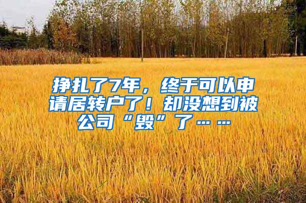 挣扎了7年，终于可以申请居转户了！却没想到被公司“毁”了……