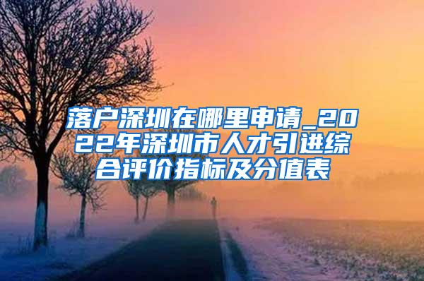 落户深圳在哪里申请_2022年深圳市人才引进综合评价指标及分值表