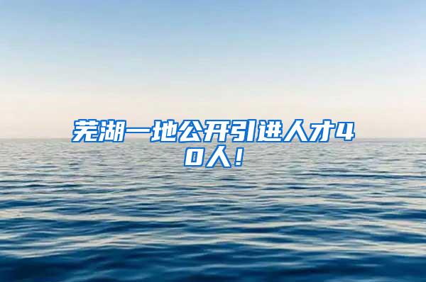 芜湖一地公开引进人才40人！