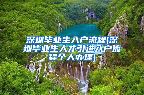 深圳毕业生入户流程(深圳毕业生人才引进入户流程个人办理)