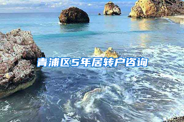 青浦区5年居转户咨询