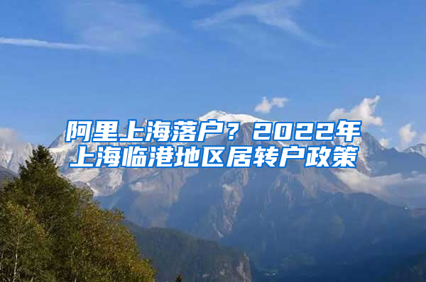 阿里上海落户？2022年上海临港地区居转户政策