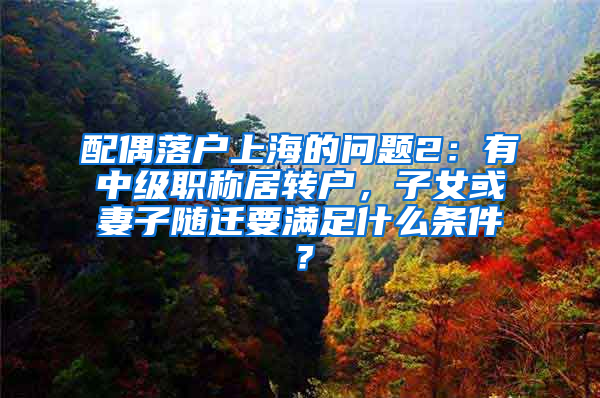 配偶落户上海的问题2：有中级职称居转户，子女或妻子随迁要满足什么条件？