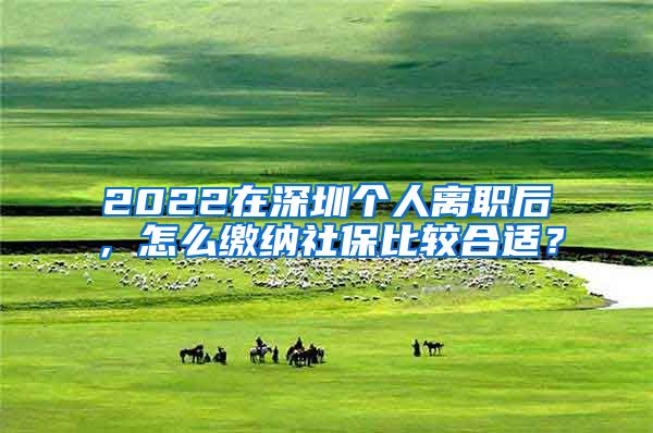 2022在深圳个人离职后，怎么缴纳社保比较合适？