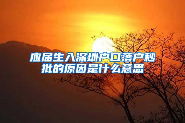 应届生入深圳户口落户秒批的原因是什么意思