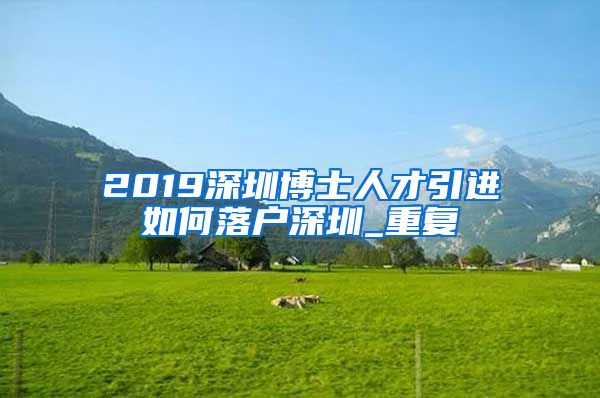 2019深圳博士人才引进如何落户深圳_重复