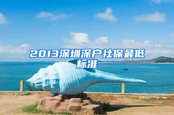 2013深圳深户社保最低标准