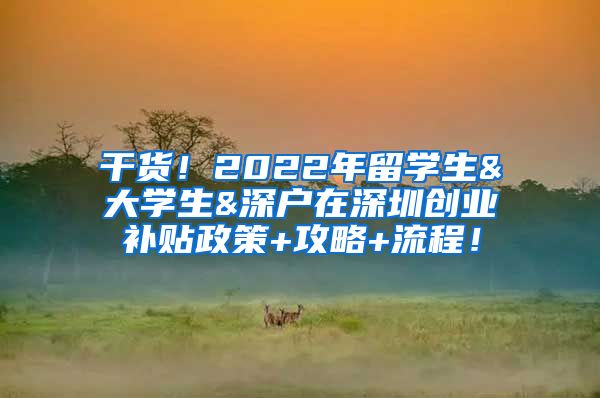 干货！2022年留学生&大学生&深户在深圳创业补贴政策+攻略+流程！