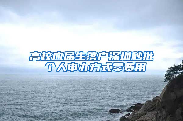 高校应届生落户深圳秒批 个人申办方式零费用