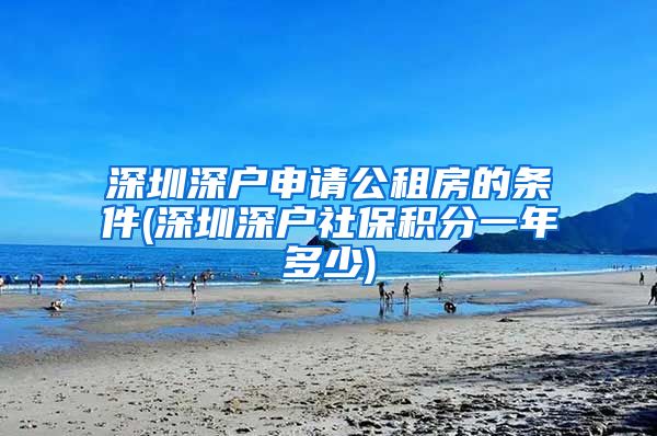 深圳深户申请公租房的条件(深圳深户社保积分一年多少)