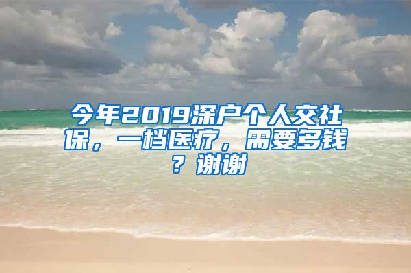 今年2019深户个人交社保，一档医疗，需要多钱？谢谢