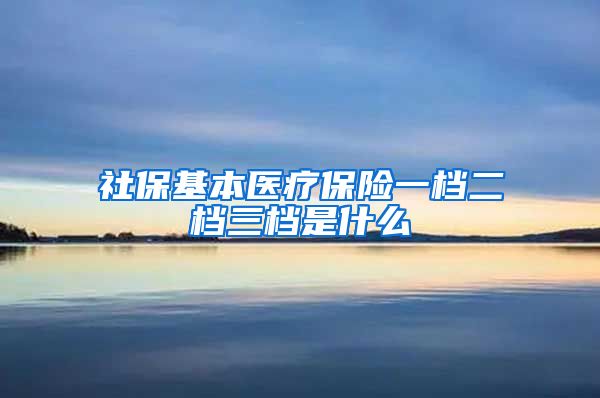 社保基本医疗保险一档二档三档是什么