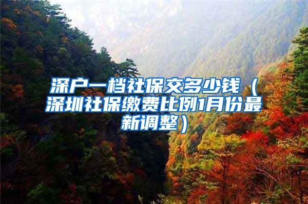 深户一档社保交多少钱（深圳社保缴费比例1月份最新调整）