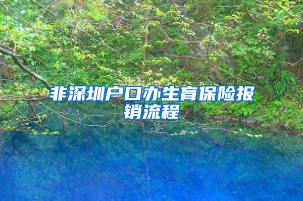 非深圳户口办生育保险报销流程