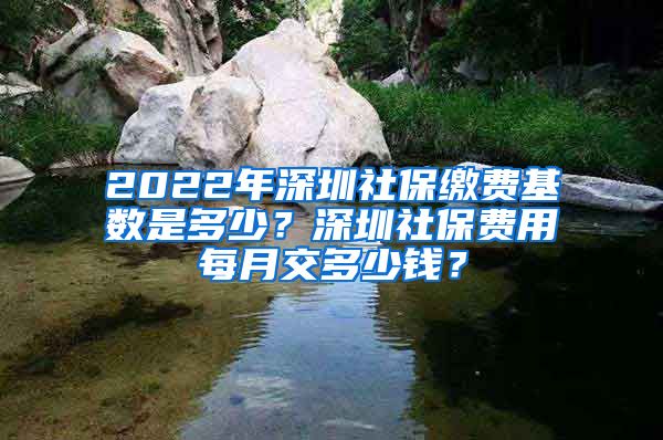 2022年深圳社保缴费基数是多少？深圳社保费用每月交多少钱？