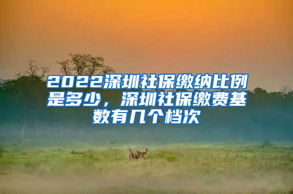 2022深圳社保缴纳比例是多少，深圳社保缴费基数有几个档次