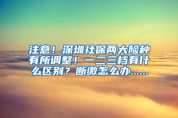 注意！深圳社保两大险种有所调整！一二三档有什么区别？断缴怎么办......