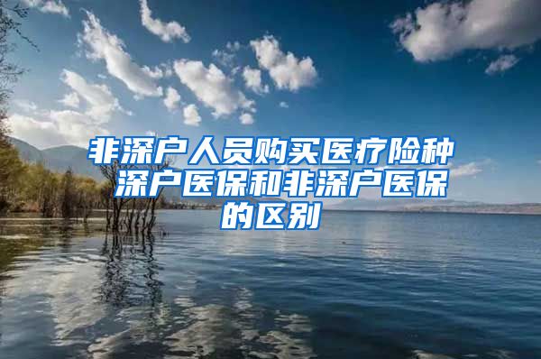 非深户人员购买医疗险种 深户医保和非深户医保的区别