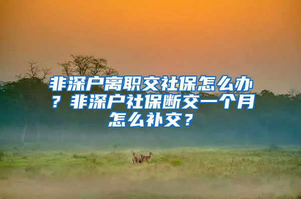 非深户离职交社保怎么办？非深户社保断交一个月怎么补交？