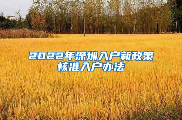 2022年深圳入户新政策核准入户办法