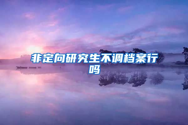 非定向研究生不调档案行吗