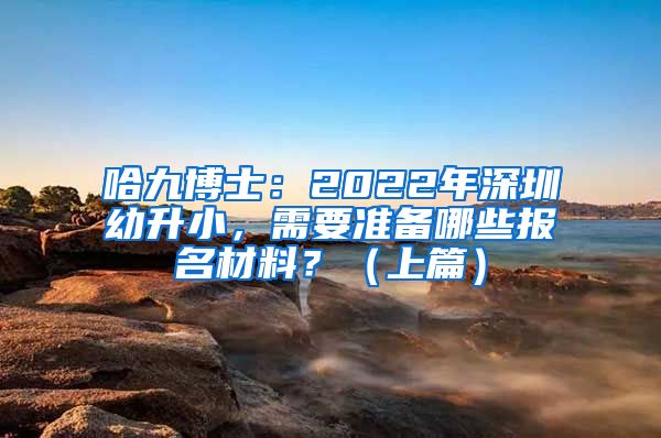 哈九博士：2022年深圳幼升小，需要准备哪些报名材料？（上篇）