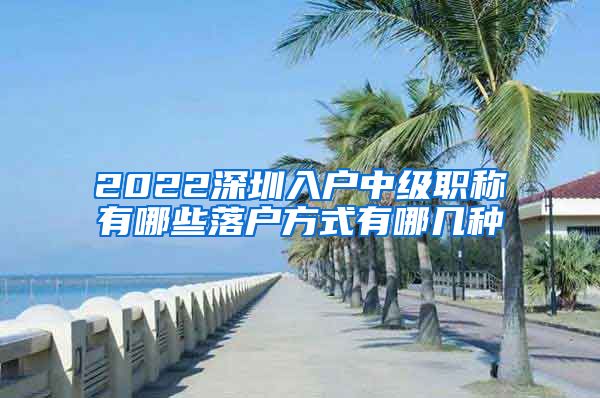 2022深圳入户中级职称有哪些落户方式有哪几种