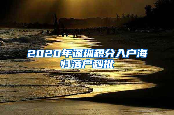 2020年深圳积分入户海归落户秒批