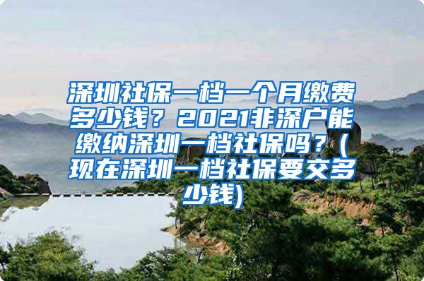 深圳社保一档一个月缴费多少钱？2021非深户能缴纳深圳一档社保吗？(现在深圳一档社保要交多少钱)