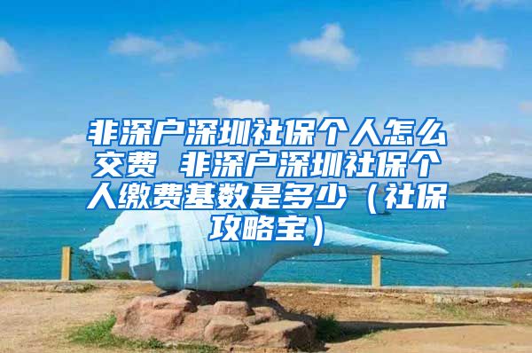 非深户深圳社保个人怎么交费 非深户深圳社保个人缴费基数是多少（社保攻略宝）