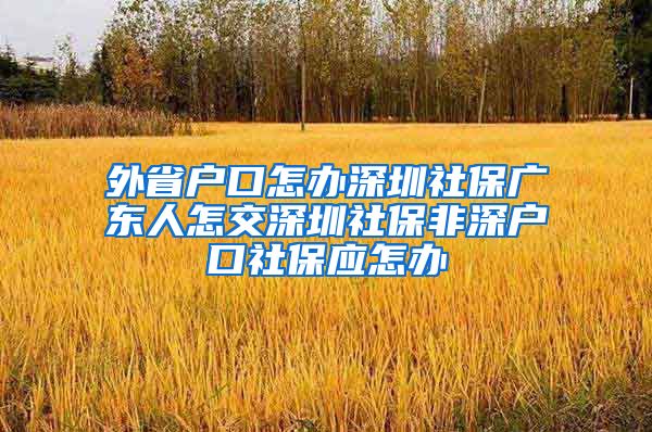 外省户口怎办深圳社保广东人怎交深圳社保非深户口社保应怎办