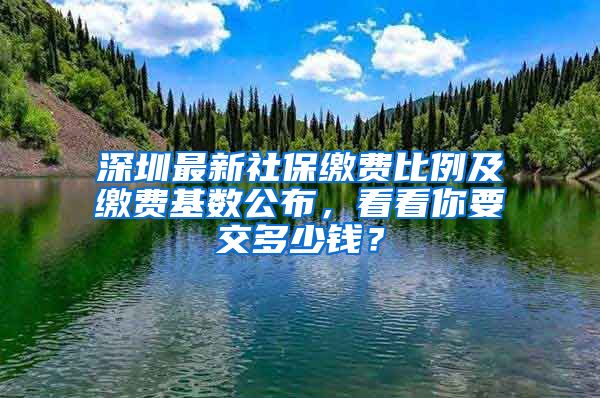 深圳最新社保缴费比例及缴费基数公布，看看你要交多少钱？