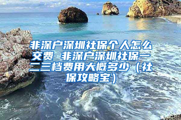 非深户深圳社保个人怎么交费 非深户深圳社保一二三档费用大概多少（社保攻略宝）