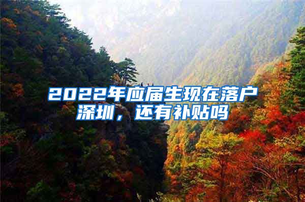 2022年应届生现在落户深圳，还有补贴吗