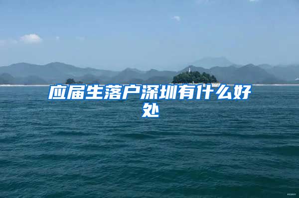 应届生落户深圳有什么好处