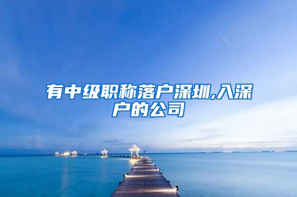 有中级职称落户深圳,入深户的公司