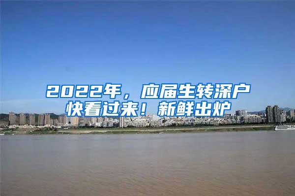 2022年，应届生转深户快看过来！新鲜出炉