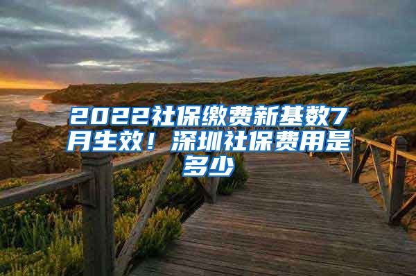 2022社保缴费新基数7月生效！深圳社保费用是多少